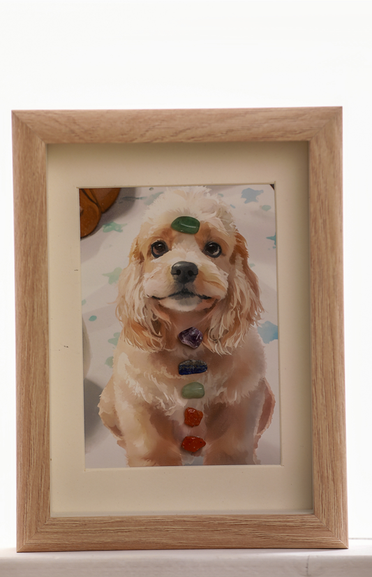 Custom Healing Crystal Chakra Pet Portrait